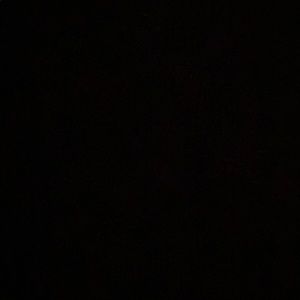 Meet your Posher, Riya